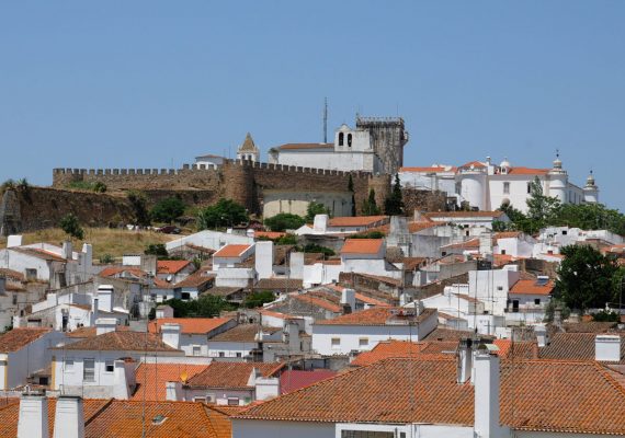 photo : 