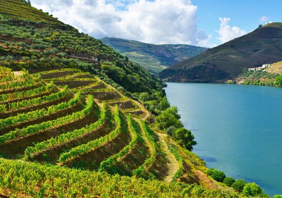 douro-vinhateiro