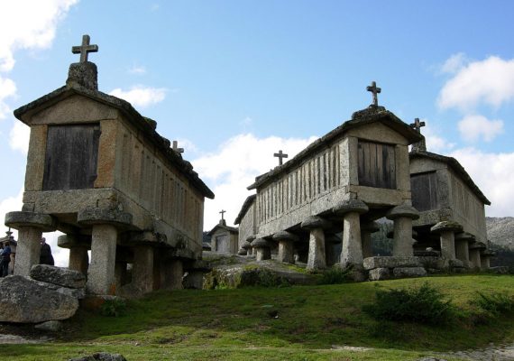 photo : 